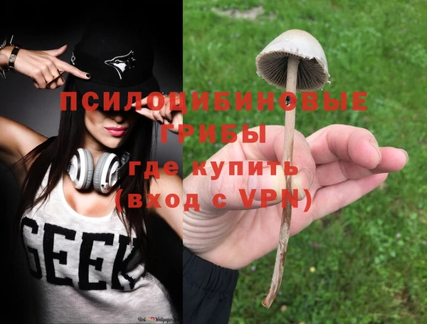 стаф Алексеевка