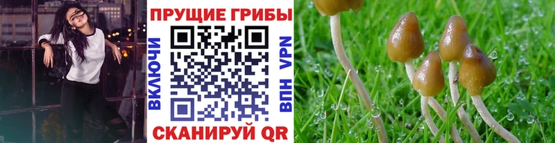 Псилоцибиновые грибы мухоморы  Миллерово 